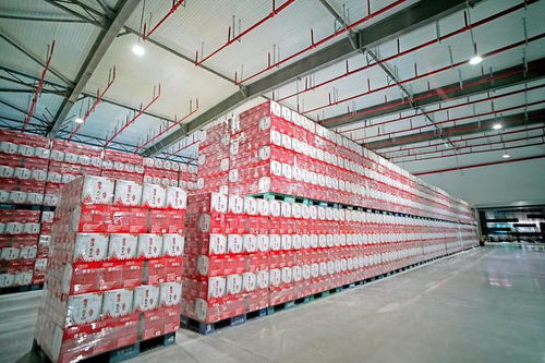 雪花啤酒涼山工廠竣工，開(kāi)啟高質(zhì)量發(fā)展新征程