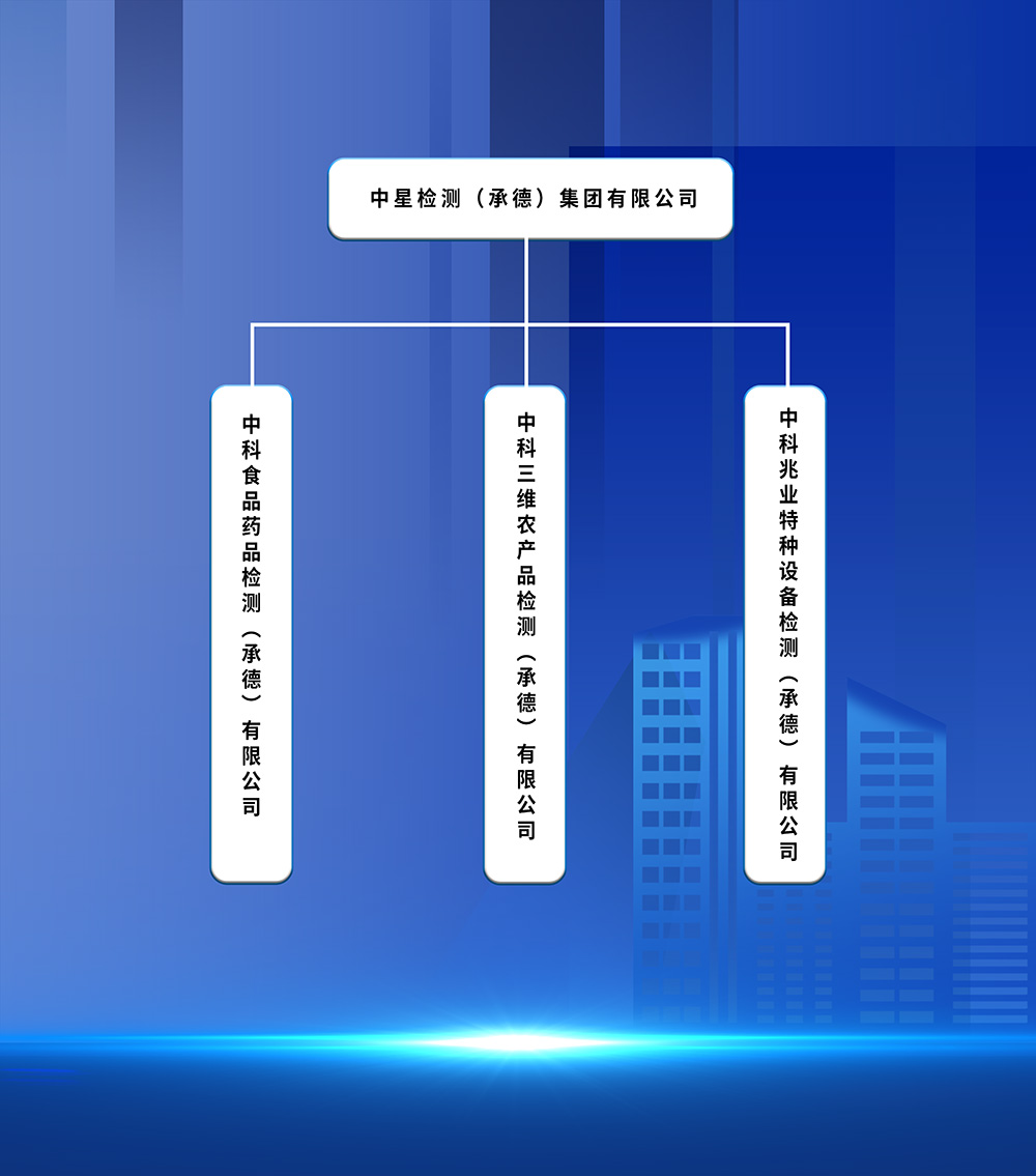 集團(tuán)組成(圖1)